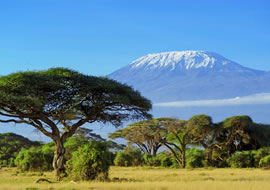 10-Day Kenya & Tanzania Discovery Safari